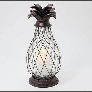 Home Reflections Indoor/Outdoor 17" Pineapple Lantern